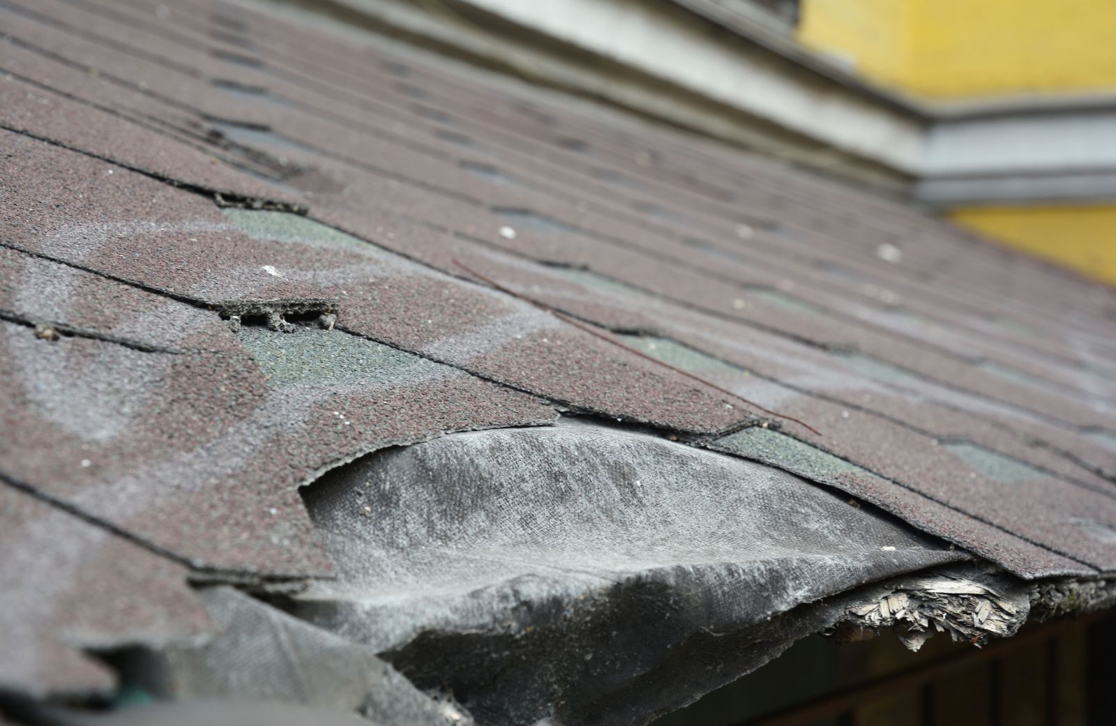 K&D Roofing Images