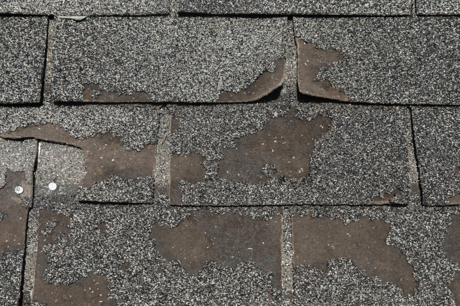 K&D Roofing Images